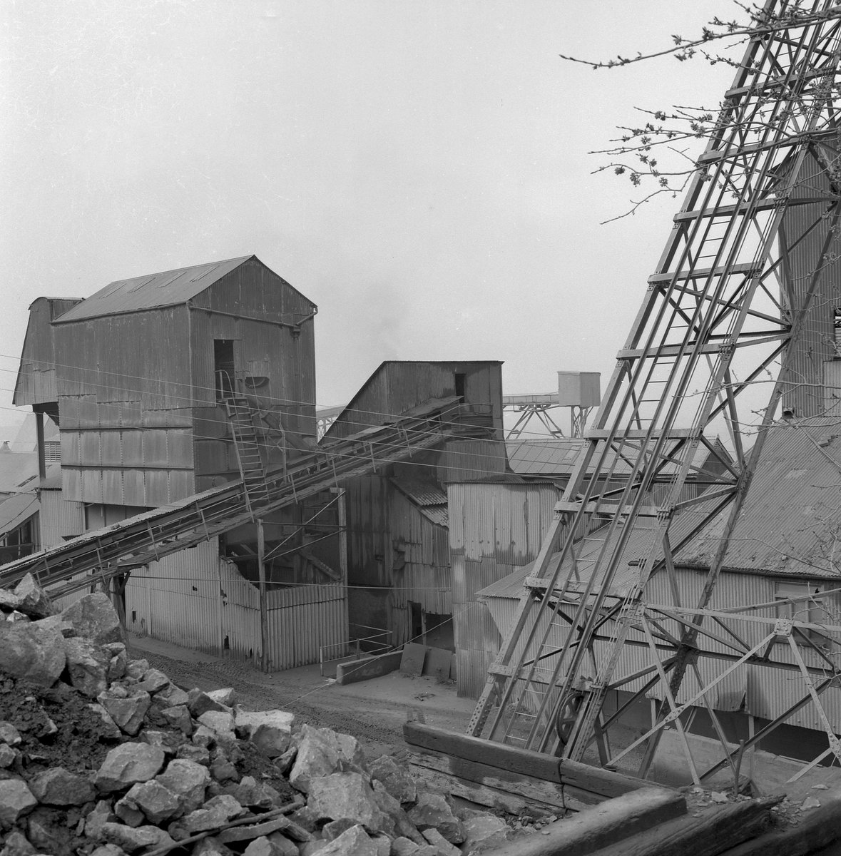 Cults Lime Ltd., Springfield, Cupar, Fife. 