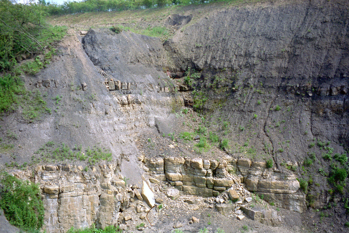 18 Jun 1998 - Skelpie Mine, Cults, north Fife; Charlestown Station and Green limestones.
