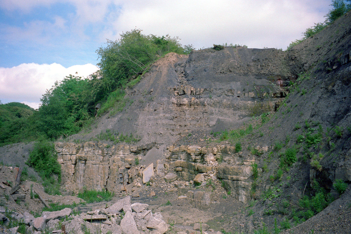 18 Jun 1998 - Skelpie Mine, Cults, north Fife; Charlestown Station and Green limestones.