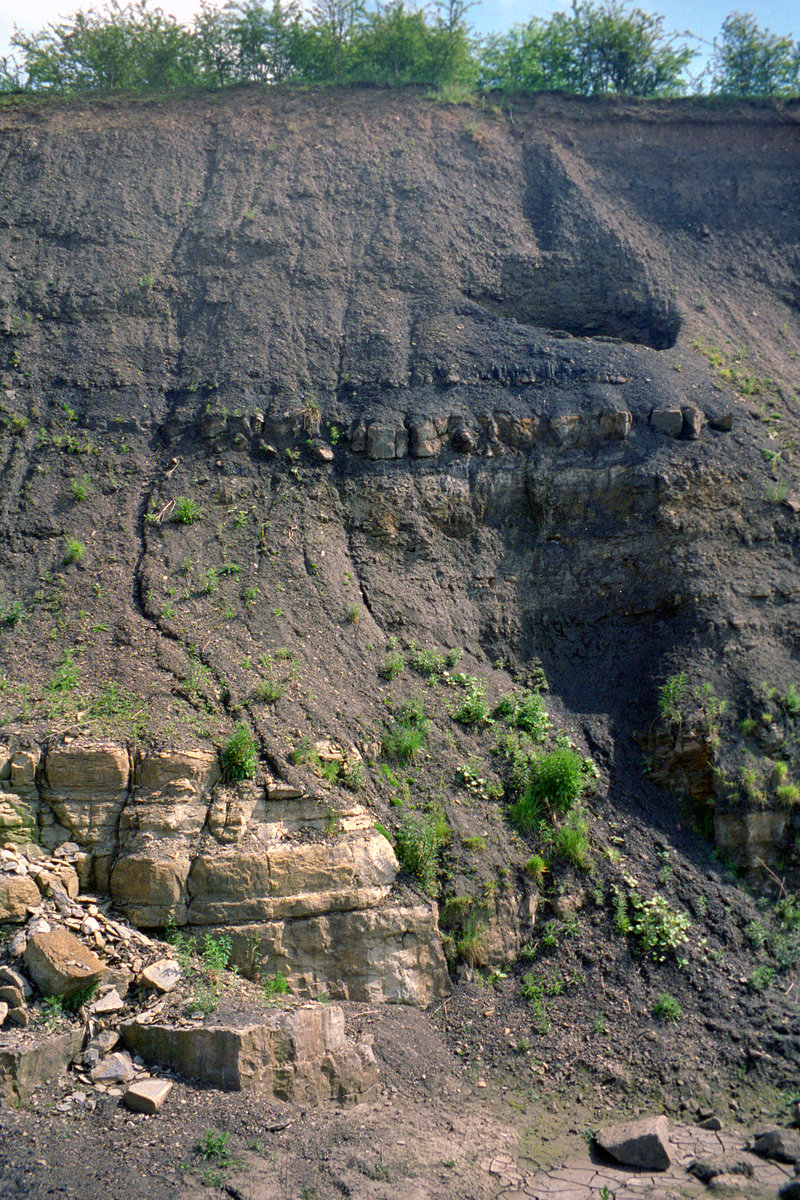 18 Jun 1998 - Skelpie Mine, Cults, north Fife; Charlestown Station and Green limestones.