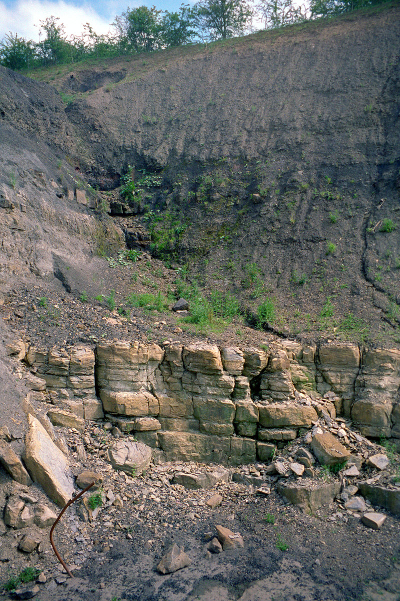 18 Jun 1998 - Skelpie Mine, Cults, north Fife; Charlestown Station and Green limestones.