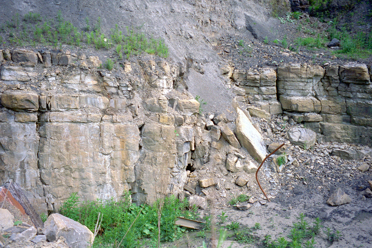 18 Jun 1998 - Skelpie Mine, Cults, north Fife; Charlestown Station and Green limestones.