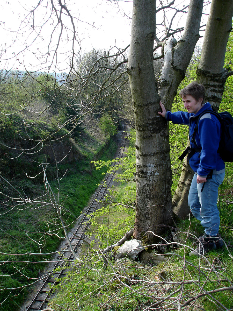 25 Apr 2005 - Gang Mine nature reserve, Middleton, Derbyshire., submitted by Buddle-Bot on 08-11-2025.
Bgs No. P595356; Bloodworth, A.J.; © NERC. Image & Text: BGS Geoscenic, under OGL V2 License http://bit.ly/462AXmV 25 Apr 2005 - Gang Mine nature reserve, Middleton, Derbyshire.